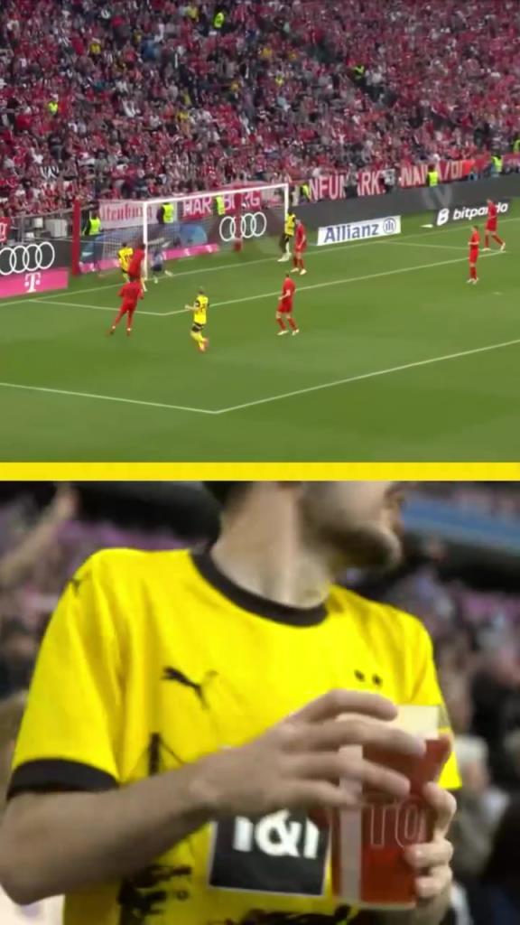 勇者無(wú)懼！這是真多特球迷！在拜仁球迷區(qū)一個(gè)人肆意慶祝！